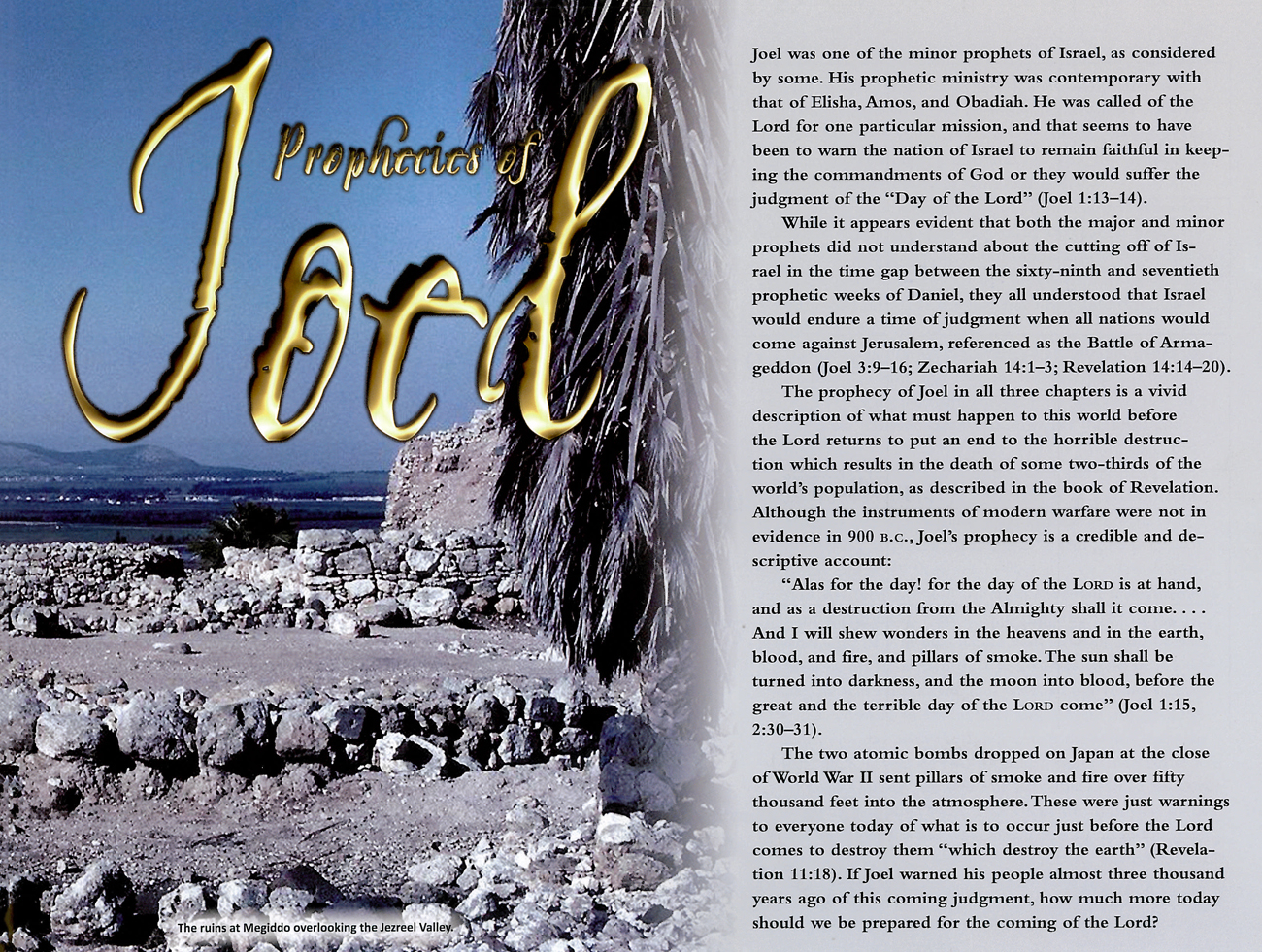 2011 Prophecy Calendar: July - Prophecies of Joel