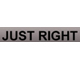 Logo of the Just Right Media