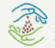 Picture of SeedSavers.org Logo