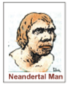 Picture of Neandertal Man