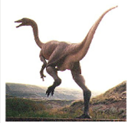 Picture of a Struthiomimus
