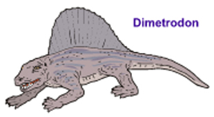Picture Showing a Dimetrodon
