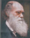 Picture of Darwin