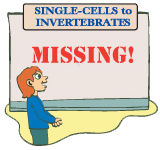 SINGLE-CELLS to INVERTEBRATES