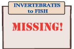 INVERTEBRATES to FISH