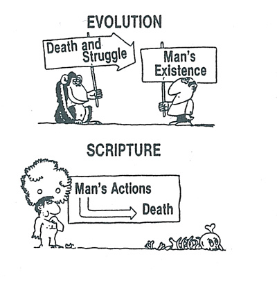 Picture Comparing Evolution to Creation