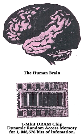 Picture of the Human Brain and a Computer Chip