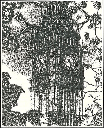 Picture of a Clock Tower