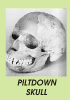 Picture 2: A Supposed Ancestor Called Piltdown Man