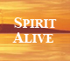 Picture of Spirit Alive T.V. Ministries Logo.
