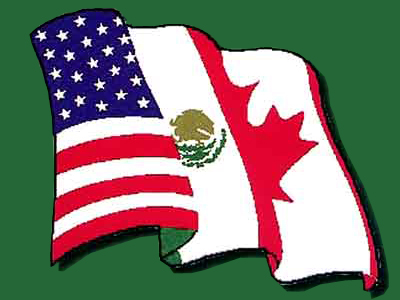 Picture of the Flag of the North American Union