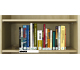 Icon of the Bookshelf of Books About Finance & Accounting
