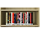 Icon of the Bookshelf of Books About Politics