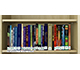 Icon of the Bookshelf of Books About End Times (Bible Prophecy)