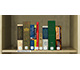 Icon of the Bookshelf of Reference Books
