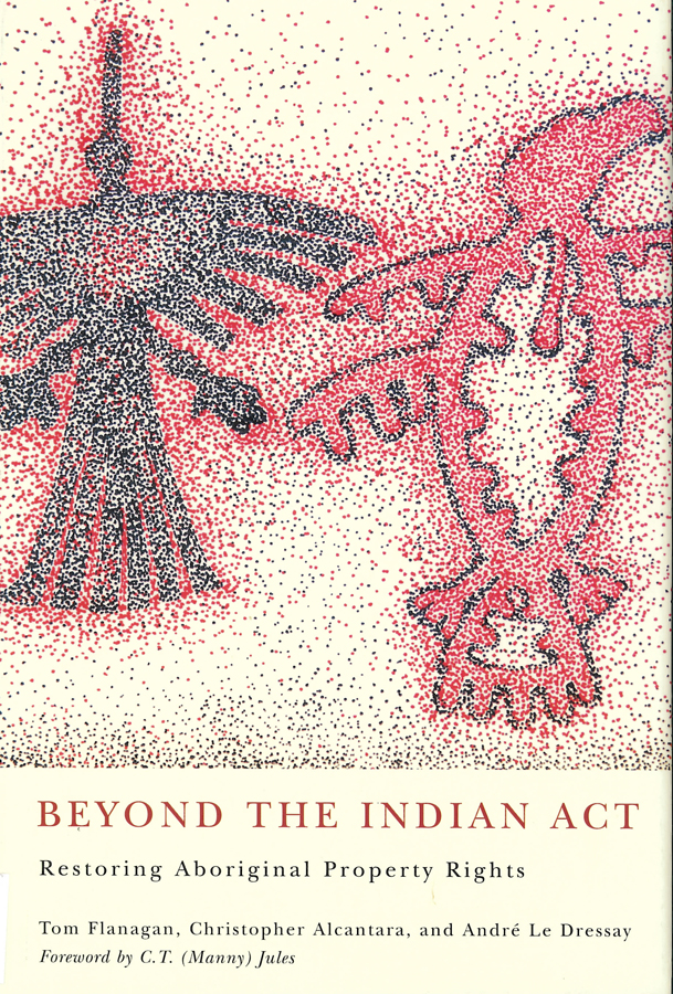 Picture of the front cover of the book entitled Beyond the Indian Act.