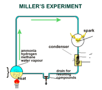 Picture of Miller's Experiment Picture of Miller's Experiment