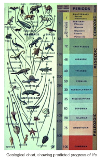 Picture of a Geological Column