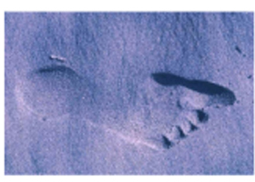 Picture of a Footprint Picture of a Footprint