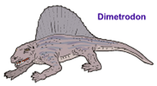 Picture Showing a Dimetrodon Picture Showing a Dimetrodon