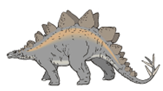 Picture of a Dinosaur Picture of a Dinosaur