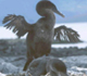 Picture of a young bird trying to fly.