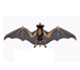 Picture of a bird flying.