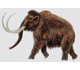 Picture of a mammoth.
