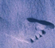 Picture of a footprint in sand.