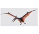 Picture of a bird soaring.