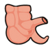 Picture of a Vestigial Organ.