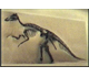 Picture of a dinosaur.