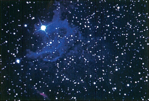 Picture of a Star Cluster Picture of a Star Cluster