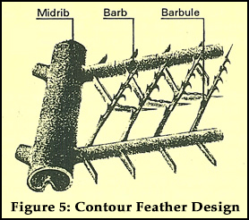 Figure 5: Contour Feather Design Figure 5: Contour Feather Design