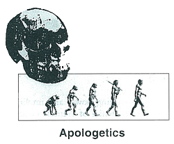Picture of an Ape Picture of an Ape