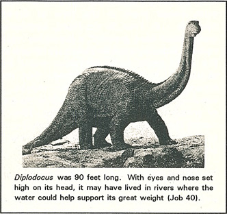 Picture of the Diplodocus, a Dinosaur Picture of the Diplodocus, a Dinosaur