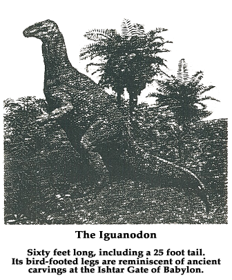 Picture of the Iguanodon, a Dinosaur Picture of the Iguanodon, a Dinosaur