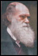 Picture of Charles Darwin