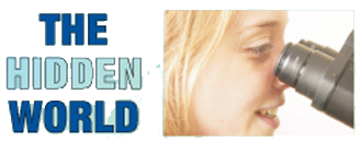 Title Pic: The Hidden World Title Pic: The Hidden World
