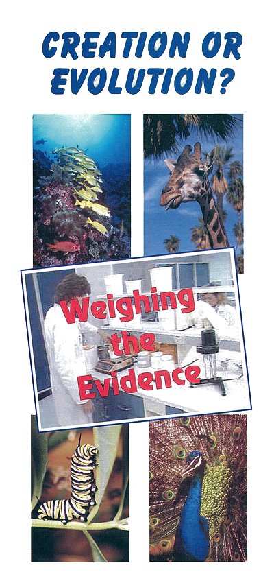 Front Cover of Creation or Evolution Leaflet Title Pic: In the Beginning