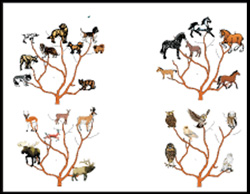 Creation Image of Life Design Creation Image of Life Design