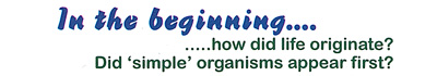 Title Pic: In the Beginning Title Pic: In the Beginning