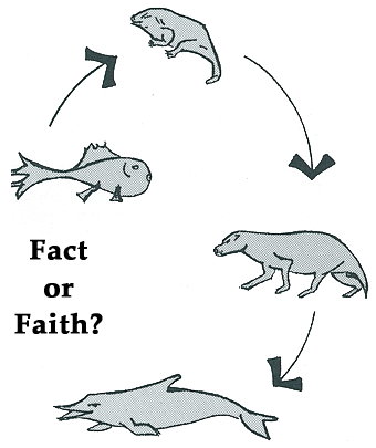 Picture Showing Fish Evolving Picture Showing Fish Evolving