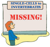 SINGLE-CELLS to INVERTEBRATES SINGLE-CELLS to INVERTEBRATES