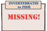 INVERTEBRATES to FISH INVERTEBRATES to FISH