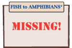 FISH to AMPHIBIANS* FISH to AMPHIBIANS*