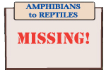 AMPHIBIANS to REPTILES AMPHIBIANS to REPTILES