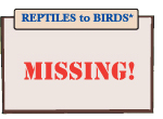 REPTILES to BIRDS* REPTILES to BIRDS*