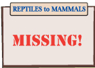 REPTILES to MAMMALS REPTILES to MAMMALS
