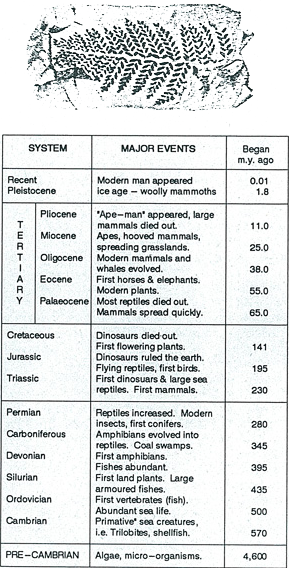 Picture of the Geological Column Picture of the Geological Column